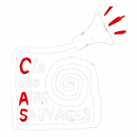 logo de la compagnie des airs sauvages